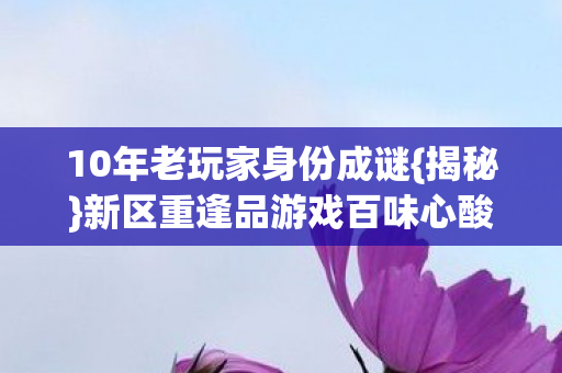 新区重逢品游戏百味心酸图片