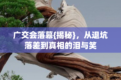 从退坑落差到真相的泪与笑图片