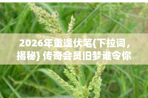2026年重逢伏笔{下拉词,揭秘} 传奇会员旧梦谁令你鼻酸? 2026年重逢伏笔{下拉词,揭秘} 传奇会员旧梦谁令你鼻酸?