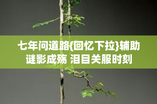 辅助谜影成殇 泪目关服时刻图片