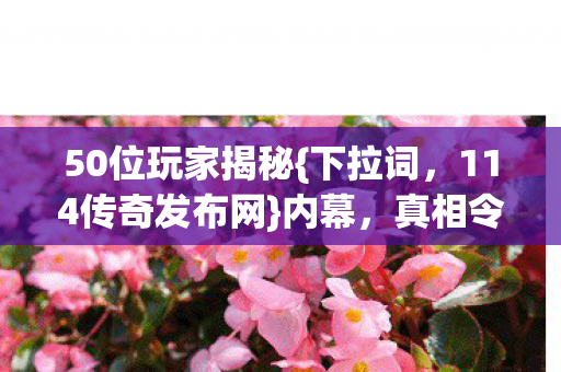114传奇发布网图片