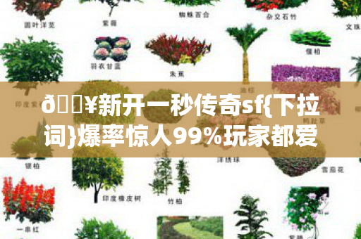 新开一秒传奇sf图片