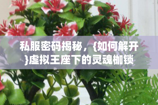 虚拟王座下的灵魂枷锁图片