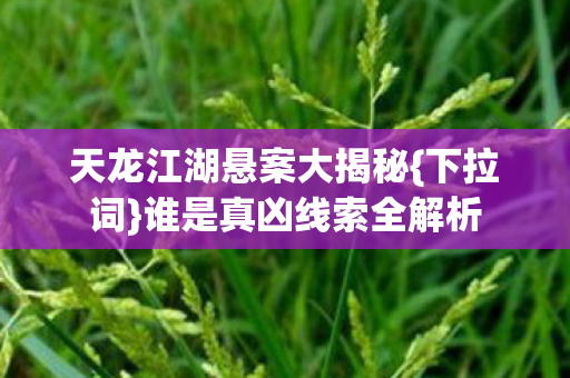 天龙江湖悬案大揭秘图片
