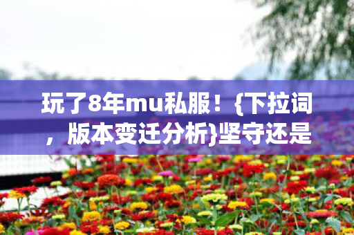 玩了8年mu私服图片