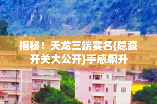 隐藏开关大公开图片