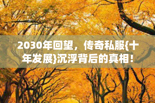 2030年回望图片