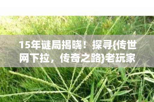 15年谜局揭晓图片