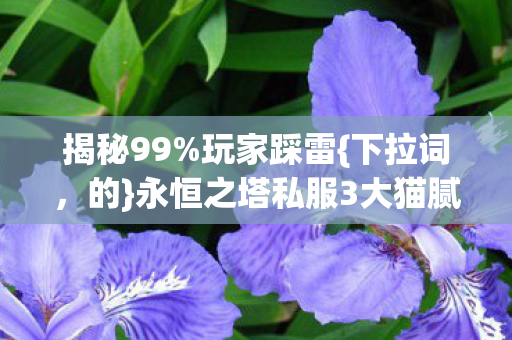 永恒之塔私服3大猫腻陷阱图片