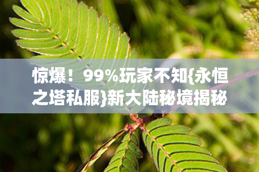 新大陆秘境揭秘图片