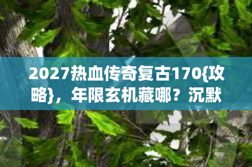 2027热血传奇复古170图片