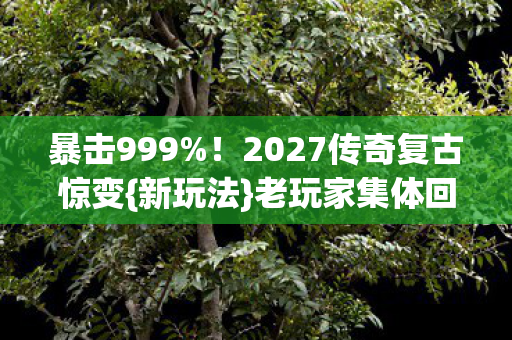 2027传奇复古惊变图片