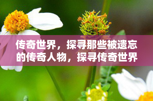 传奇世界,探寻那些被遗忘的传奇人物,探寻传奇世界,揭秘那些被遗忘的传奇人物 传奇世界,探寻那些被遗忘的传奇人物,探寻传奇世界,揭秘那些被遗忘的传奇人物