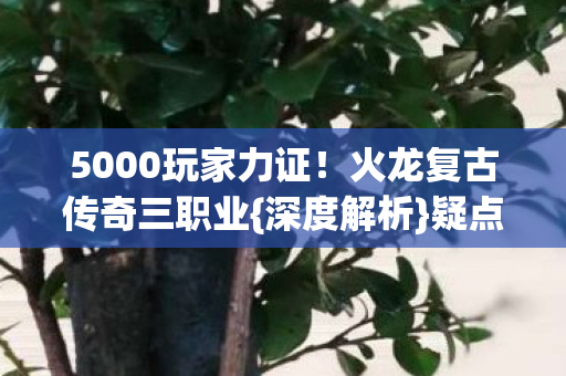 火龙复古传奇三职业图片