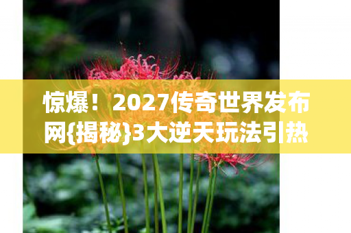 2027传奇世界发布网图片