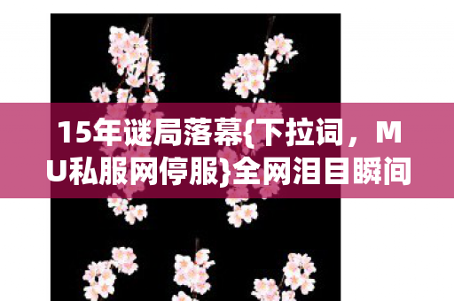 15年谜局落幕图片