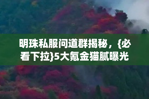 明珠私服问道群揭秘图片