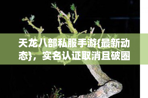 实名认证取消且破圈引爆双领域图片