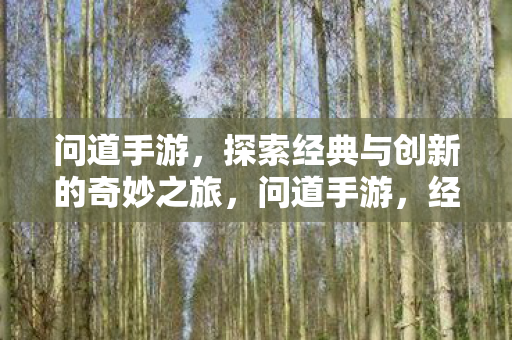 经典与创新交织的奇妙探索之旅图片