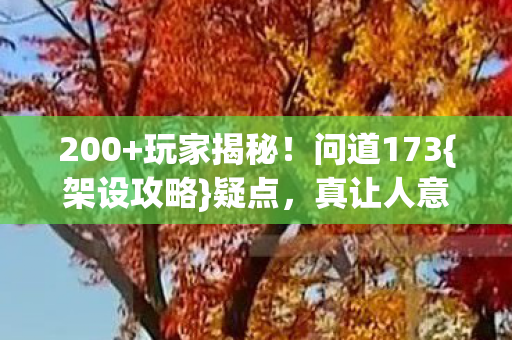 200+玩家揭秘！问道173{架设攻略}疑点，真让人意外！