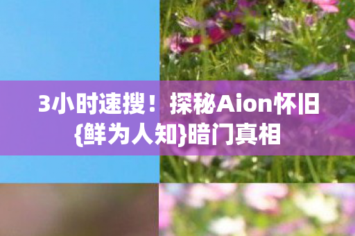 探秘Aion怀旧图片