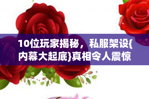 10位玩家揭秘，私服架设{内幕大起底}真相令人震惊！