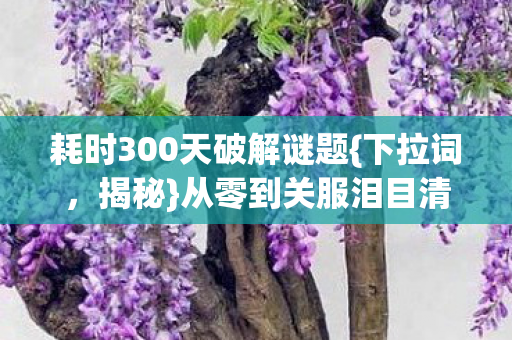 耗时300天破解谜题{下拉词,揭秘}从零到关服泪目清单名字 耗时300天破解谜题{下拉词,揭秘}从零到关服泪目清单名字
