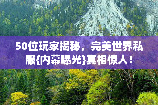 50位玩家揭秘图片