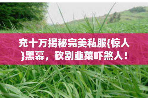 充十万揭秘完美私服图片