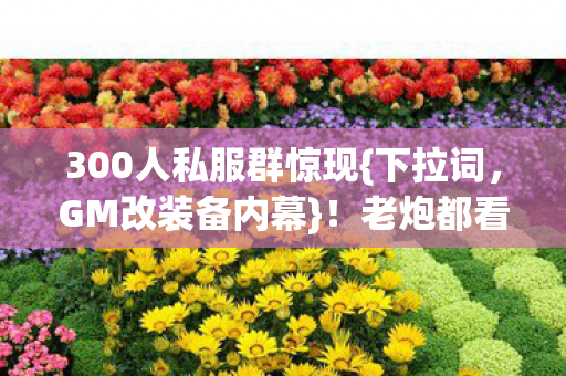 300人私服群惊现{下拉词,GM改装备内幕}!老炮都看呆 300人私服群惊现{下拉词,GM改装备内幕}!老炮都看呆