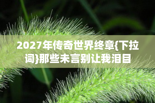 2027年传奇世界终章图片