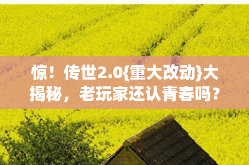 老玩家还认青春吗图片