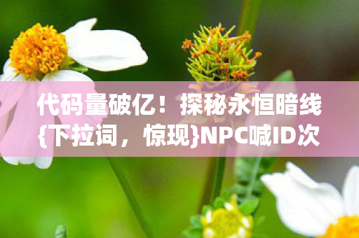 NPC喊ID次元裂缝图片