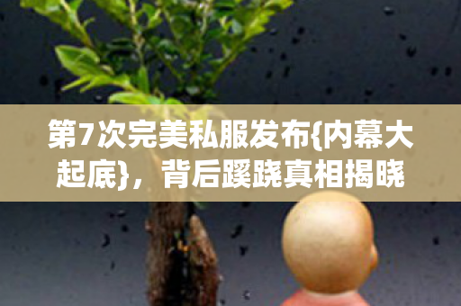 第7次完美私服发布图片