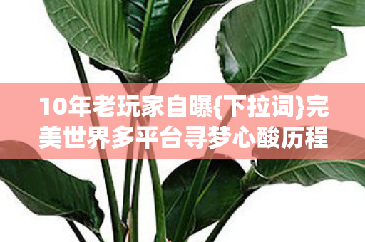 完美世界多平台寻梦心酸历程图片