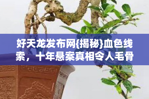 十年悬案真相令人毛骨悚然图片