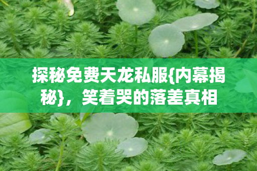 探秘免费天龙私服图片