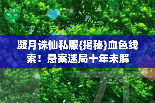 悬案迷局十年未解图片