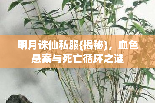 血色悬案与死亡循环之谜图片
