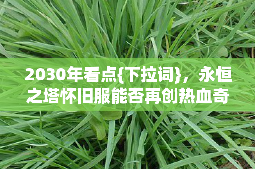 永恒之塔怀旧服能否再创热血奇迹图片