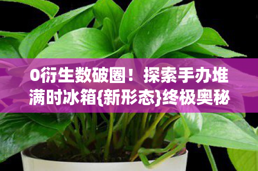 探索手办堆满时冰箱图片