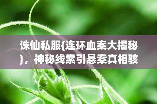 神秘线索引悬案真相骇人图片