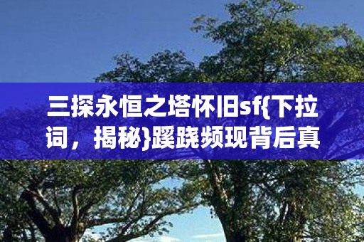 三探永恒之塔怀旧sf图片
