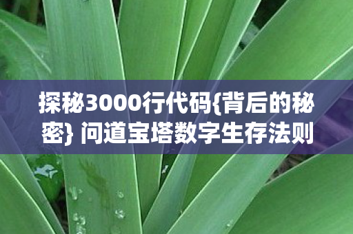 探秘3000行代码{背后的秘密} 问道宝塔数字生存法则 探秘3000行代码{背后的秘密} 问道宝塔数字生存法则