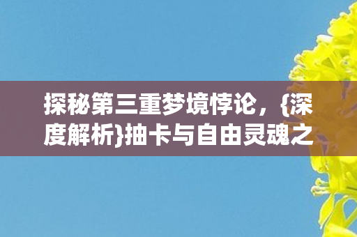 探秘第三重梦境悖论图片