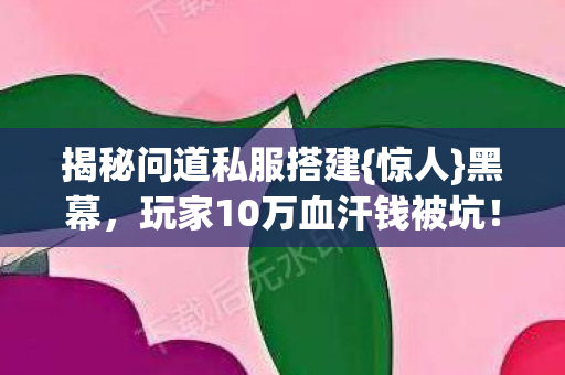 揭秘问道私服搭建{惊人}黑幕，玩家10万血汗钱被坑！