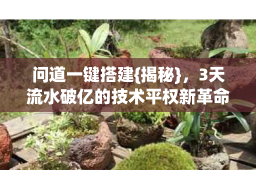问道一键搭建{揭秘},3天流水破亿的技术平权新革命? 问道一键搭建{揭秘},3天流水破亿的技术平权新革命?