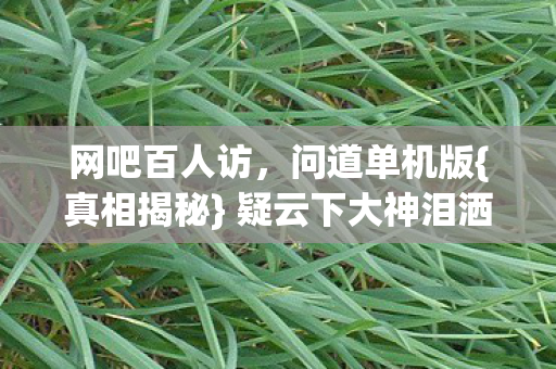 网吧百人访,问道单机版{真相揭秘} 疑云下大神泪洒 网吧百人访,问道单机版{真相揭秘} 疑云下大神泪洒