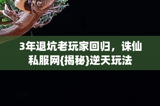 3年退坑老玩家回归图片