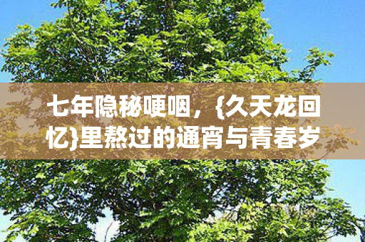 七年隐秘哽咽,{久天龙回忆}里熬过的通宵与青春岁月 七年隐秘哽咽,{久天龙回忆}里熬过的通宵与青春岁月